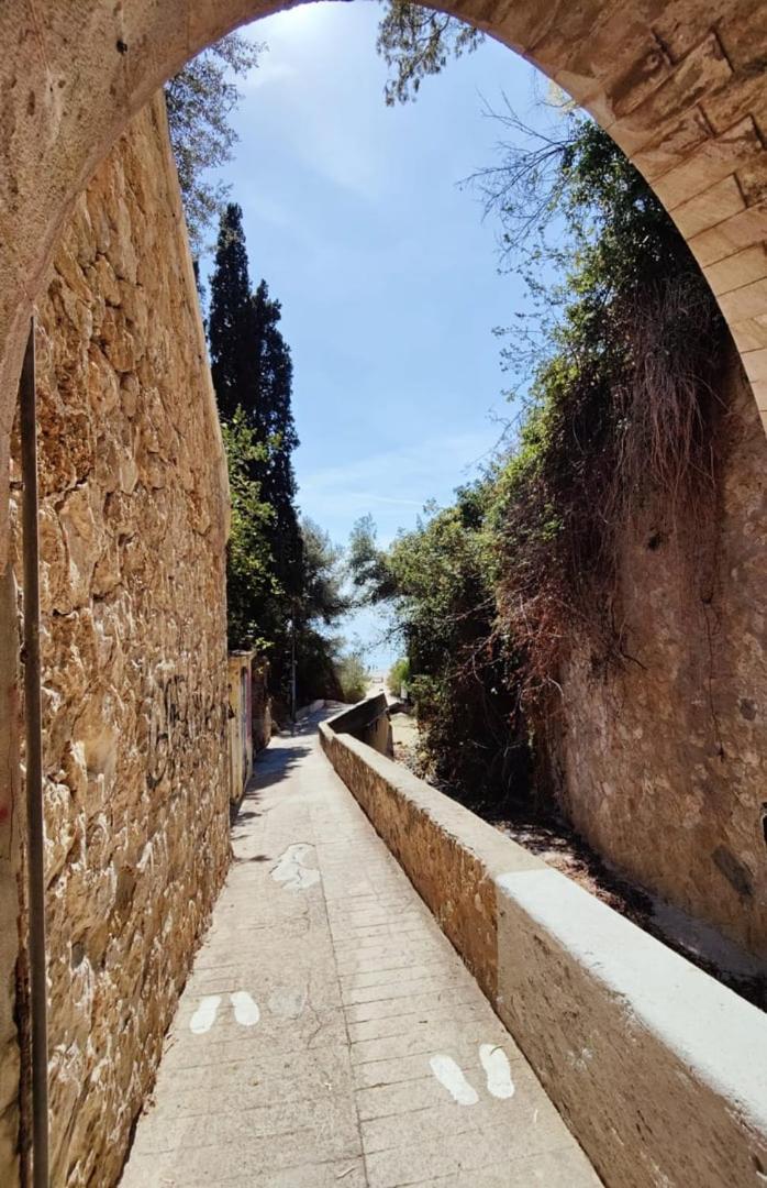 Le Coq Massolin Roquebrune-Cap-Martin Exterior photo