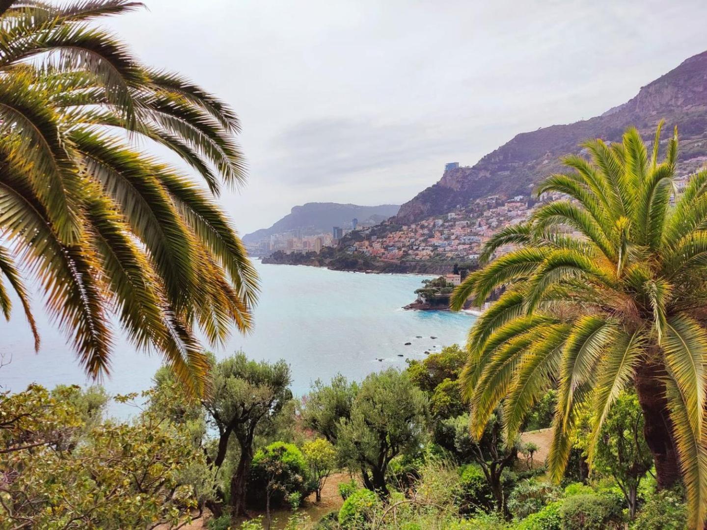 Le Coq Massolin Roquebrune-Cap-Martin Exterior photo